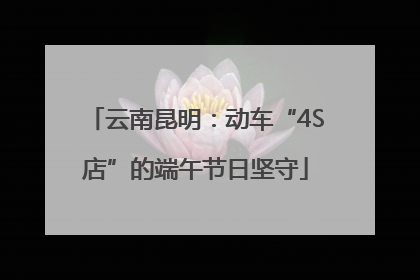 云南昆明：动车“4S店”的端午节日坚守