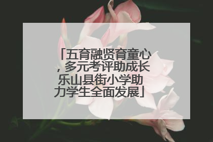 五育融贤育童心，多元考评助成长 乐山县街小学助力学生全面发展