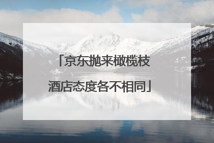 京东抛来橄榄枝 酒店态度各不相同