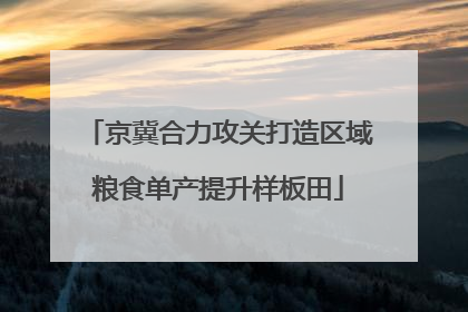 京冀合力攻关打造区域粮食单产提升样板田