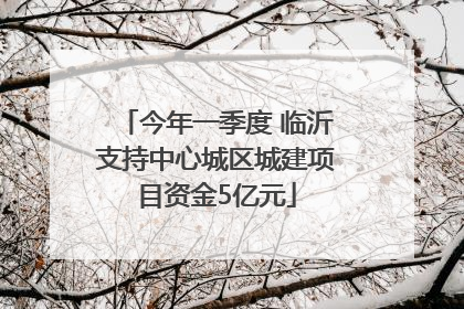 今年一季度 临沂支持中心城区城建项目资金5亿元