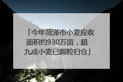 今年菏泽市小麦应收面积约930万亩，超九成小麦已颗粒归仓