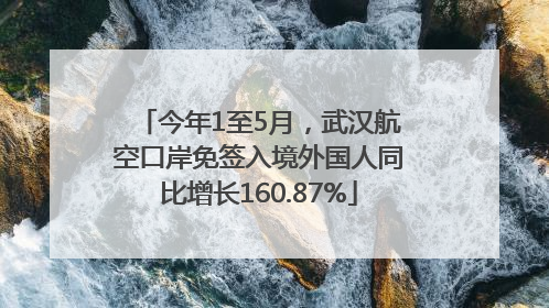 今年1至5月，武汉航空口岸免签入境外国人同比增长160.87%