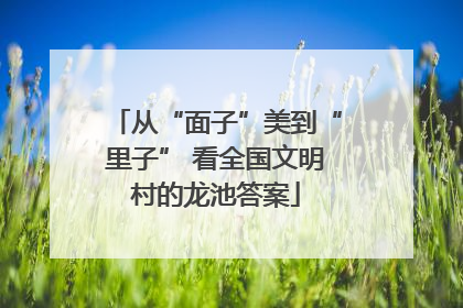 从“面子”美到“里子” 看全国文明村的龙池答案