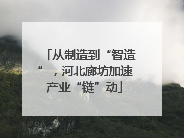 从制造到“智造”，河北廊坊加速产业“链”动