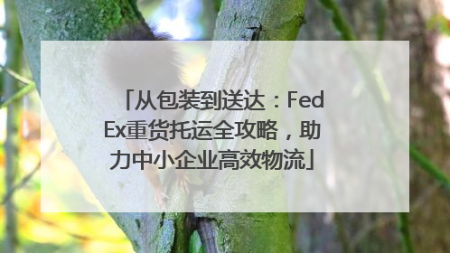 从包装到送达：FedEx重货托运全攻略，助力中小企业高效物流