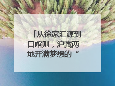 从徐家汇源到日喀则，沪藏两地开满梦想的“格桑花”！