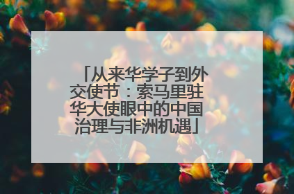 从来华学子到外交使节：索马里驻华大使眼中的中国治理与非洲机遇