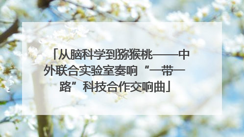 从脑科学到猕猴桃——中外联合实验室奏响“一带一路”科技合作交响曲