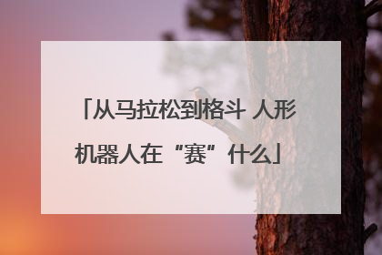 从马拉松到格斗 人形机器人在“赛”什么