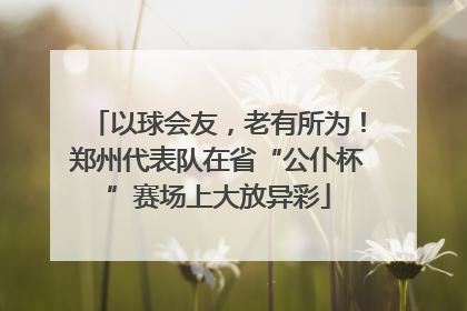 以球会友，老有所为！郑州代表队在省“公仆杯”赛场上大放异彩
