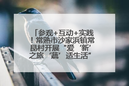 参观+互动+实践！常熟市沙家浜镇常昆村开展“爱‘新’之旅‘蔬’适生活”参观学习活动