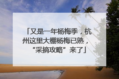 又是一年杨梅季，杭州这里大棚杨梅已熟，“采摘攻略”来了