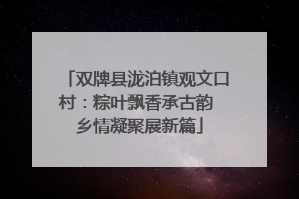 双牌县泷泊镇观文口村：粽叶飘香承古韵 乡情凝聚展新篇