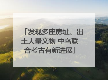 发现多座房址、出土大量文物 中乌联合考古有新进展