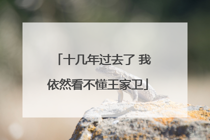 十几年过去了 我依然看不懂王家卫