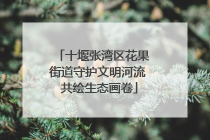 十堰张湾区花果街道守护文明河流 共绘生态画卷