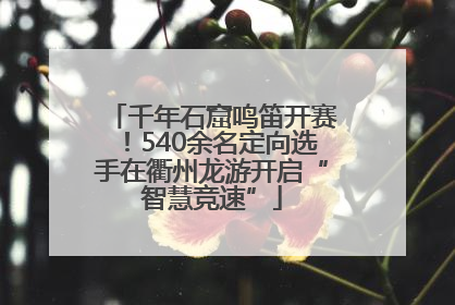 千年石窟鸣笛开赛！540余名定向选手在衢州龙游开启“智慧竞速”