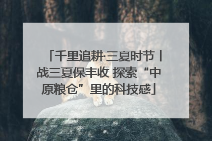 千里追耕·三夏时节丨战三夏保丰收 探索“中原粮仓”里的科技感