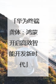 华为终端龚体：鸿蒙开启高效智能开发新时代