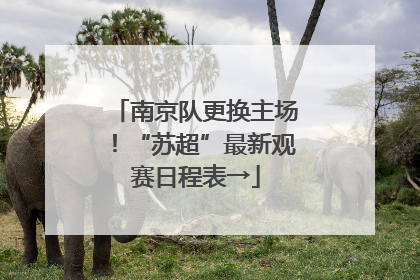 南京队更换主场！“苏超”最新观赛日程表→