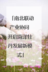 南北联动产业协同 开启菏泽牡丹发展新模式
