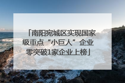 南阳宛城区实现国家级重点“小巨人”企业零突破1家企业上榜