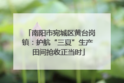 南阳市宛城区黄台岗镇：护航“三夏”生产 田间抢收正当时