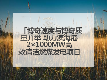 博奇速度与博奇质量并举 助力滨海港2×1000MW高效清洁燃煤发电项目“双投”