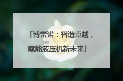 博雷诺：智造卓越，赋能液压机新未来