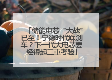 储能电芯“大战”已至！宁德时代踩刹车？下一代大电芯要经得起三重考验
