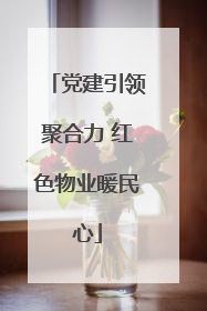 党建引领聚合力 红色物业暖民心
