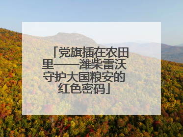 党旗插在农田里——潍柴雷沃守护大国粮安的红色密码