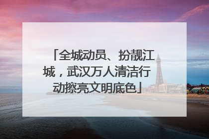 全城动员、扮靓江城，武汉万人清洁行动擦亮文明底色