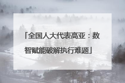 全国人大代表高亚：数智赋能破解执行难题