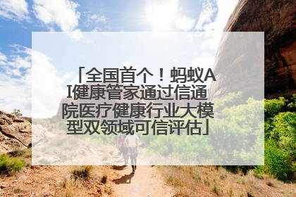 全国首个！蚂蚁AI健康管家通过信通院医疗健康行业大模型双领域可信评估