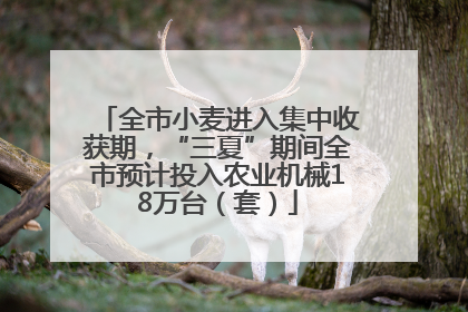 全市小麦进入集中收获期，“三夏”期间全市预计投入农业机械18万台（套）