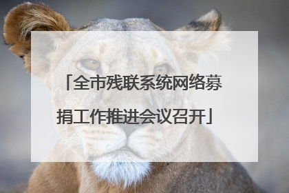 全市残联系统网络募捐工作推进会议召开