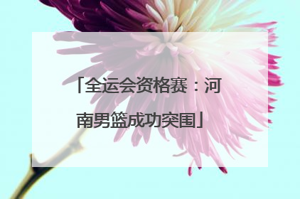 全运会资格赛：河南男篮成功突围
