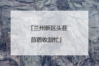 兰州新区头茬苜蓿收割忙