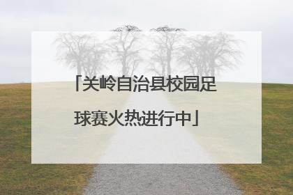 关岭自治县校园足球赛火热进行中