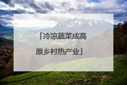 冷凉蔬菜成高原乡村热产业