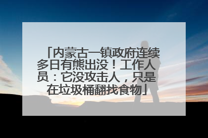 内蒙古一镇政府连续多日有熊出没！工作人员：它没攻击人，只是在垃圾桶翻找食物