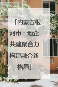 内蒙古根河市：地企共建聚合力构建融合新格局