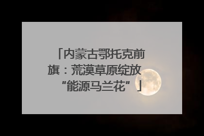 内蒙古鄂托克前旗：荒漠草原绽放“能源马兰花”