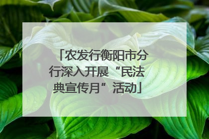 农发行衡阳市分行深入开展“民法典宣传月”活动