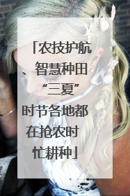 农技护航、智慧种田 “三夏”时节各地都在抢农时 忙耕种