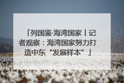 列国鉴·海湾国家丨记者观察：海湾国家努力打造中东“发展样本”