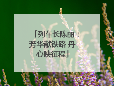 列车长陈丽：芳华献铁路 丹心映征程