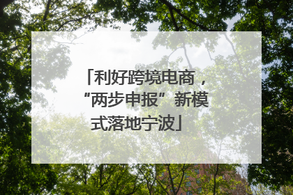 利好跨境电商，“两步申报”新模式落地宁波